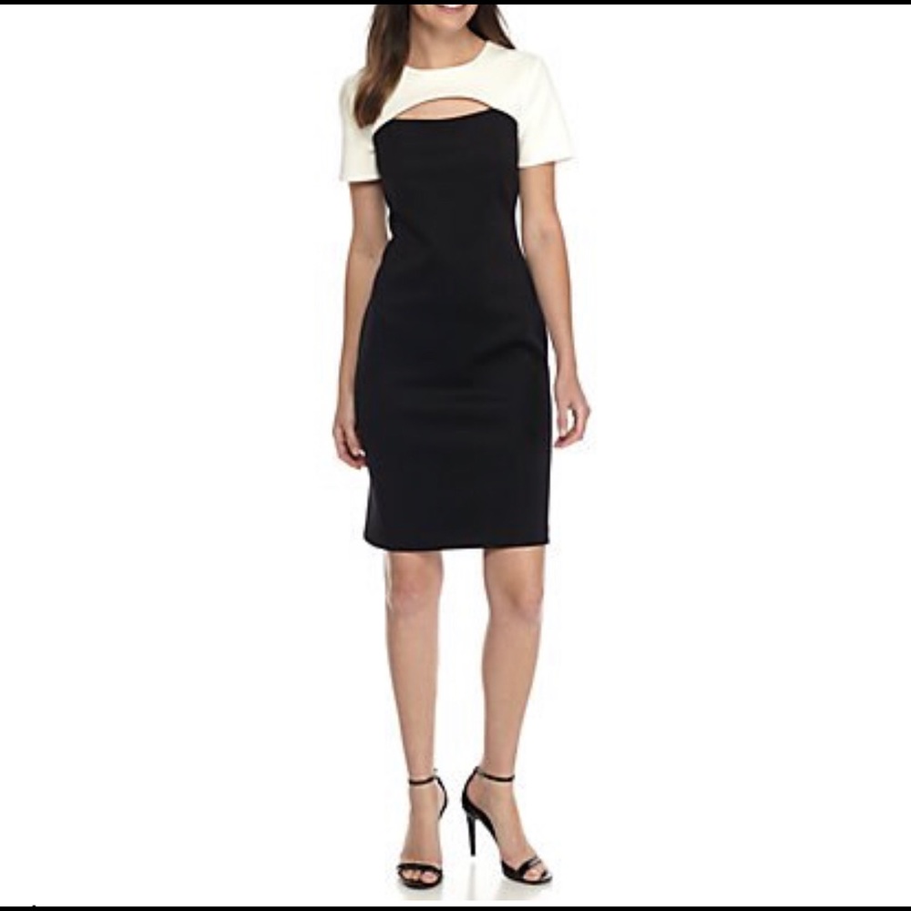 NWT. Calvin Klein Colorblock Scuba Sheath Dress.
